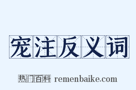 宠注反义词是什么意思的图片